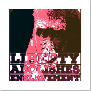 Liberty | Freedom | Enslavement Posters and Art